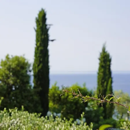 Villa Bouganville Toscolano Maderno Exterior foto